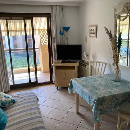Climatise Au Centre-ville Du Lavandou Avec Parking Securise Et Terrasse - Fr-1-308-184 Apartment *